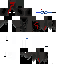 Texture for Dr.Ice