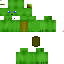 Texture for turtle