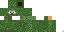 Texture for Gile