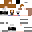 Texture for Aris animator skin