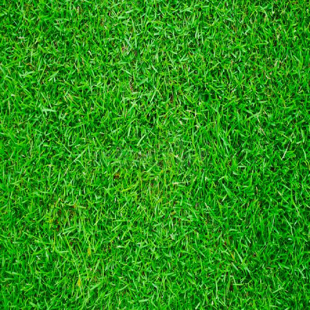 Texture for High res grass