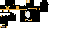 Texture for mini cat