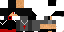 Texture for sirály