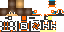 Texture for robotBr