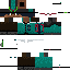 Texture for PRMZLL BUG MAZT