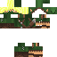 Texture for elf