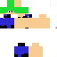 Texture for Luigi
