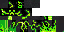 Texture for Creeper