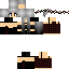 Texture for OndFlippy
