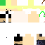Texture for PaulinV1