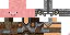 Texture for Skypig