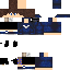 Texture for FELIX