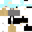 Texture for Ryu