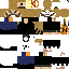 Texture for steve