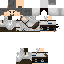 Texture for SHOU 2
