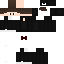 Texture for Silltrix