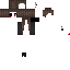 Texture for turtle