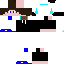 Texture for Steve