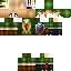 Texture for Link