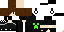 Texture for 321