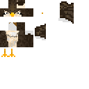 Texture for Pidgey