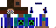 Texture for 6104