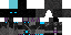 Texture for ninja