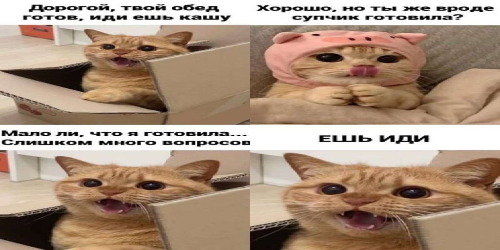 Texture for бревна