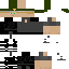 Texture for Victor_Hugo