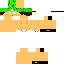 Texture for APUHC 777