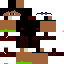 Texture for Pose