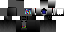 Texture for Robo Steve
