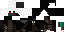 Texture for Assassin Skeleton