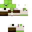 Texture for TeamSlayer_MC
