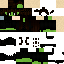 Texture for elphaba