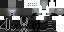 Texture for SADC