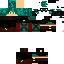 Texture for dat_turtle
