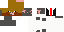 Texture for Pig