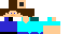 Texture for steve w