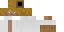 Texture for Link