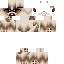 Texture for Grumpy Cat
