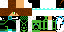 Texture for asasin