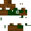 Texture for Bear