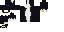 Texture for blac_cat