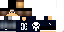 Texture for fernando1590