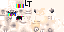 Texture for Rainbow Pug from Hypixle!