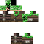Texture for Creeper Assassin 