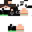 Texture for mew2509
