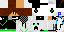 Texture for Pack