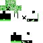 Texture for MineCreeper